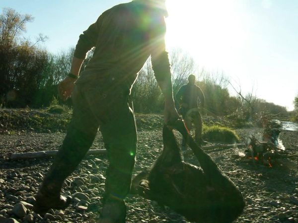 MeatEater - Bush Pig: New Zealand Wild Boar
