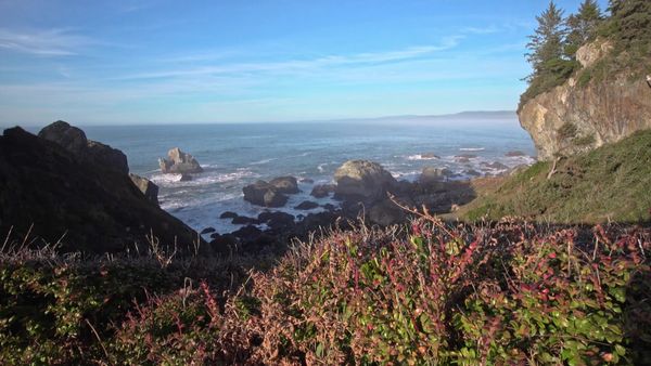 Mountain Life - From City to Nature in Humboldt County, California