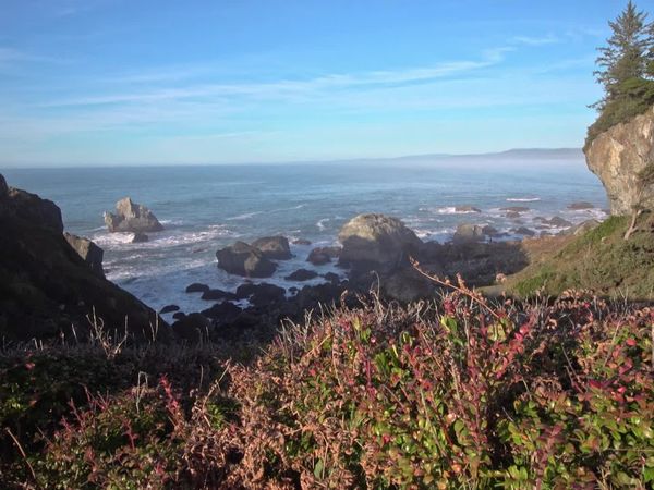 Mountain Life - From City to Nature in Humboldt County, California