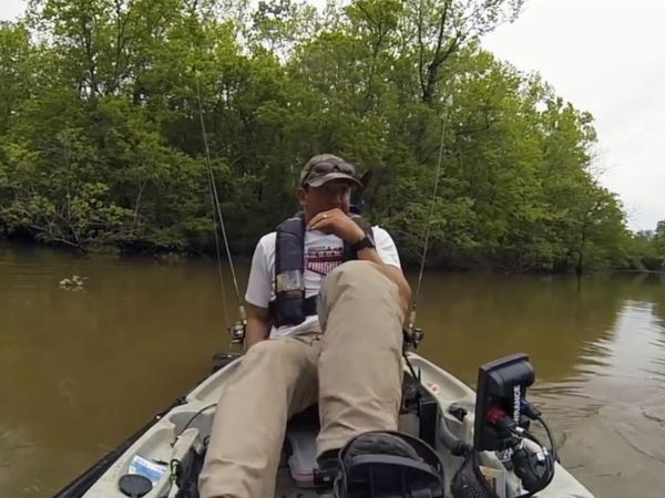 Going Si-ral - Shark Rodeo