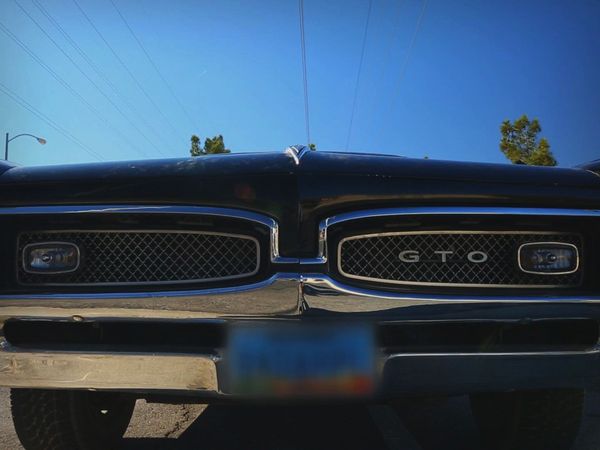 Counting Cars - GTO Dreams