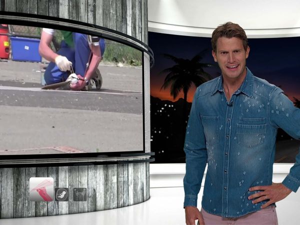 Tosh.0 - Free Stud Service