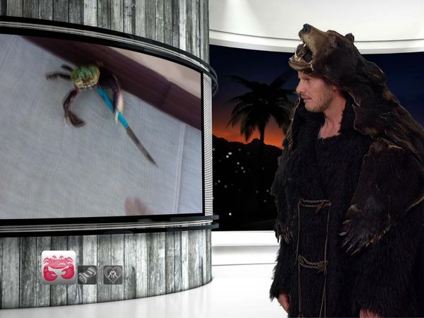 Tosh.0 - Tree Fall Kid