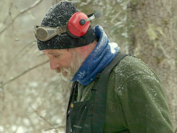 Building Alaska - Bump Outs and Burls