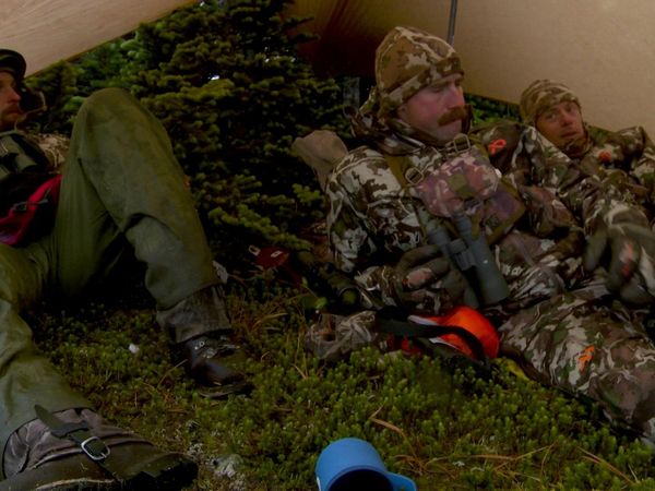 MeatEater - Mountain Meditation: BC Grizzly Bear