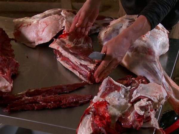 MeatEater - Cooking Special: Butchering a Whole Deer