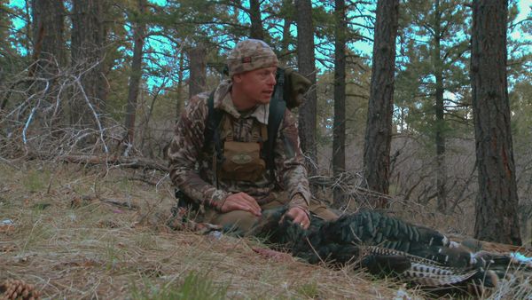 MeatEater - Conservation History, New Mexico Turkey