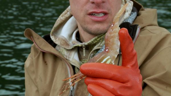 MeatEater - Cold Water: Alaskan Seafood Cooking Special