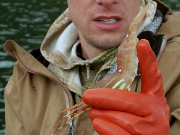 MeatEater - Cold Water: Alaskan Seafood Cooking Special