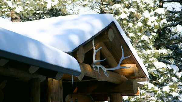 Mega Decks - A Log Cabin Lookout with a Wrap-Around Porch