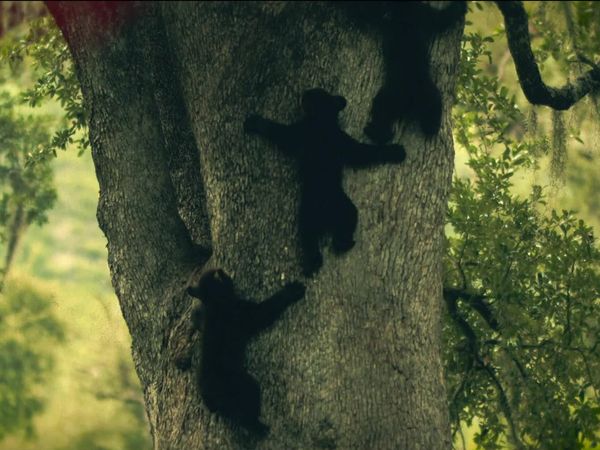 Ecos de la Tierra - Ecos de la tierra - Episodio 3
