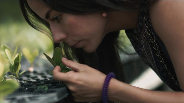 Ecos de la Tierra - Ecos de la tierra - Episodio 7