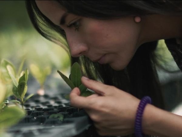 Ecos de la Tierra - Ecos de la tierra - Episodio 7