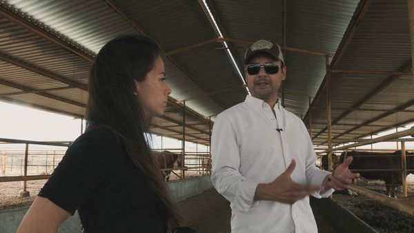 Ecos de la Tierra - Ecos de la tierra - Episodio 20