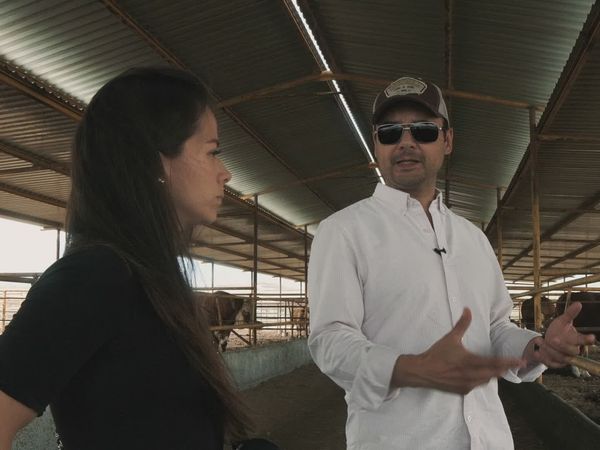 Ecos de la Tierra - Ecos de la tierra - Episodio 20