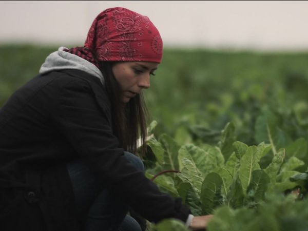 Ecos de la Tierra - Ecos de la tierra - Episodio 24