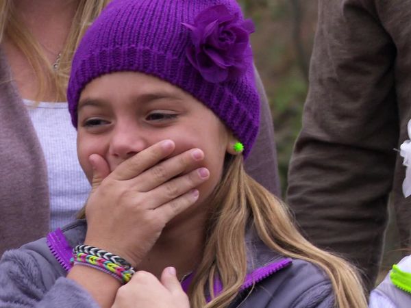 Treehouse Masters - Temple of Adventure