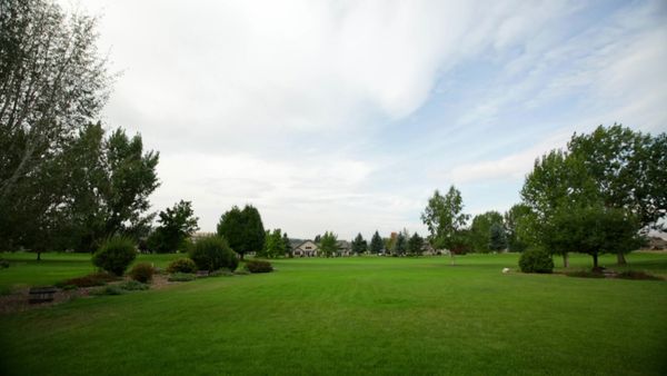 Lakefront Bargain Hunt - The Fresh Waters of Flathead