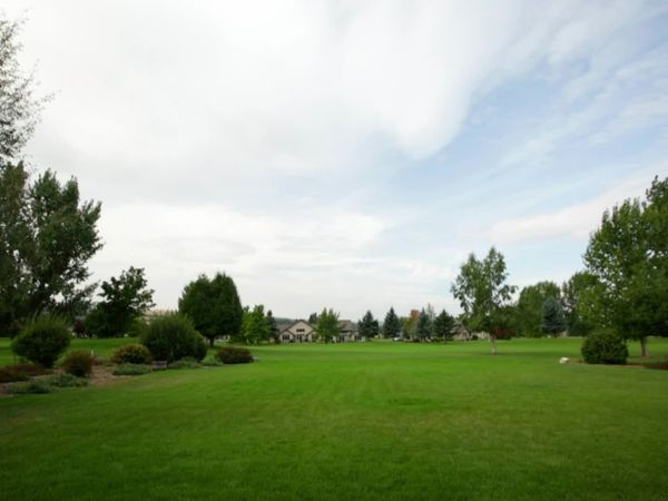 Lakefront Bargain Hunt - The Fresh Waters of Flathead