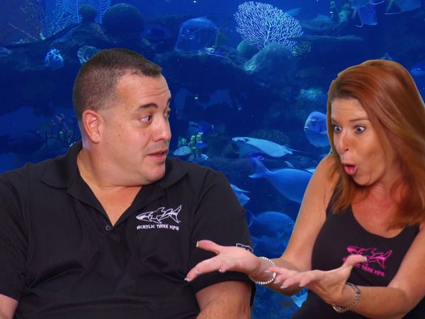 Tanked - Channeling the Long Island Medium