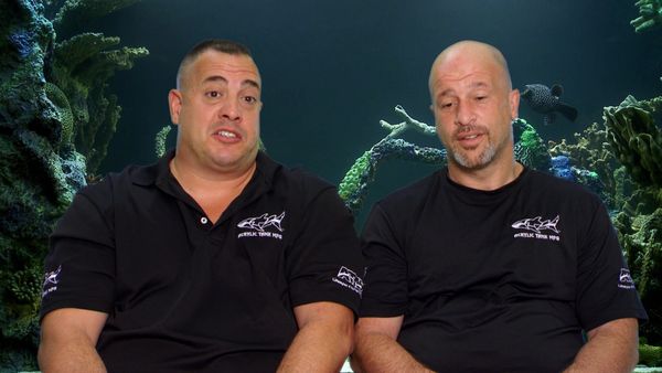 Tanked - Medieval Protection