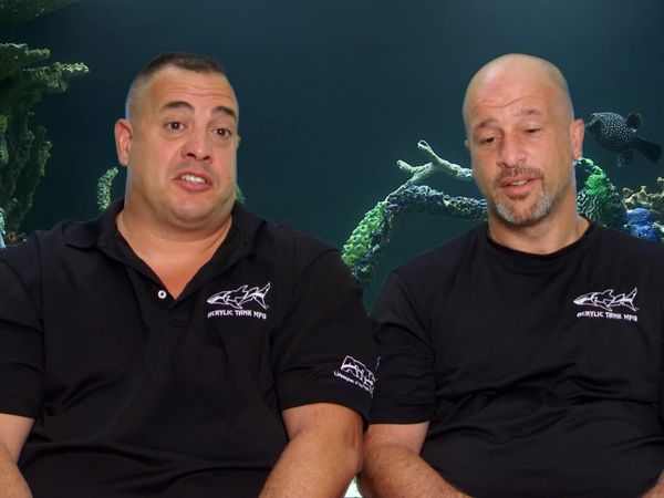 Tanked - Medieval Protection