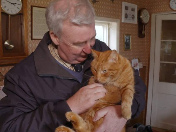 The Yorkshire Vet - Episode 1