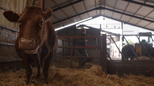 The Yorkshire Vet - Episode 3