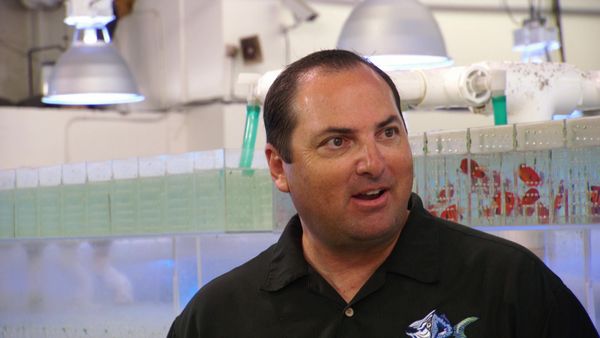 Tanked - Smiling Is the Best Medicine