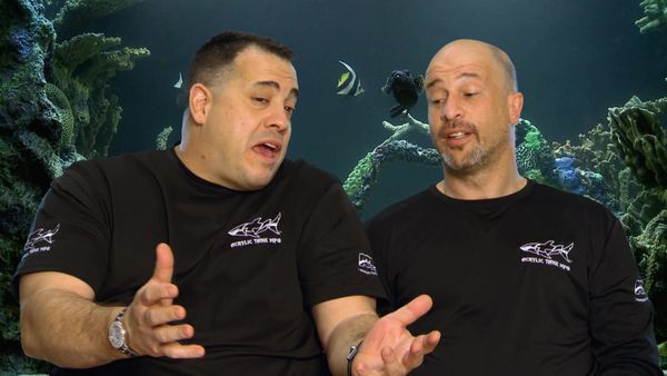 Tanked - Driving New Business