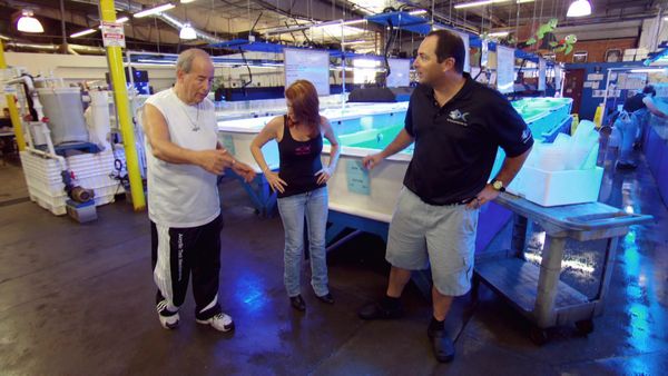 Tanked - Give a Dog a Phone
