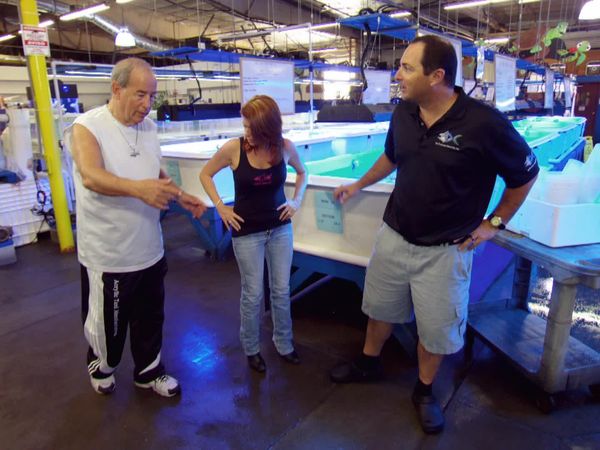 Tanked - Give a Dog a Phone