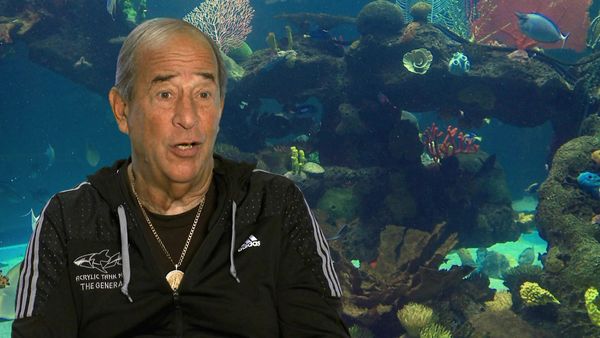 Tanked - Playing Favorites