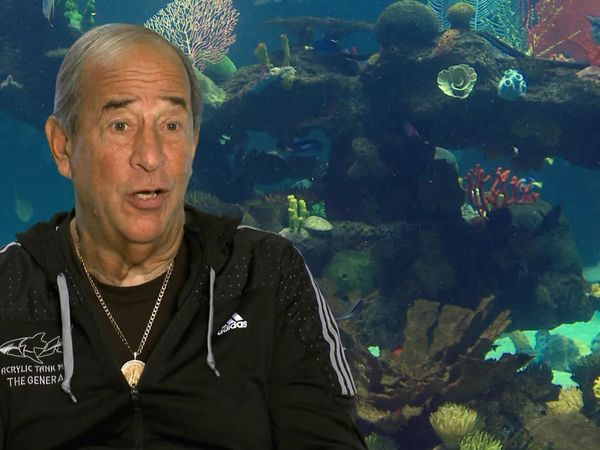 Tanked - Playing Favorites