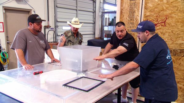 Tanked - Dining With the Fishes