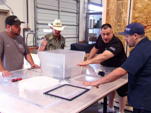 Tanked - Dining With the Fishes