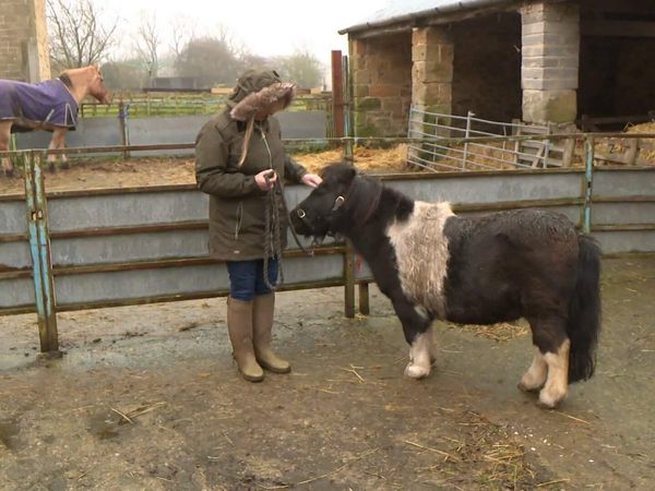 The Yorkshire Vet - Episode 5