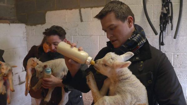 The Yorkshire Vet - Episode 11