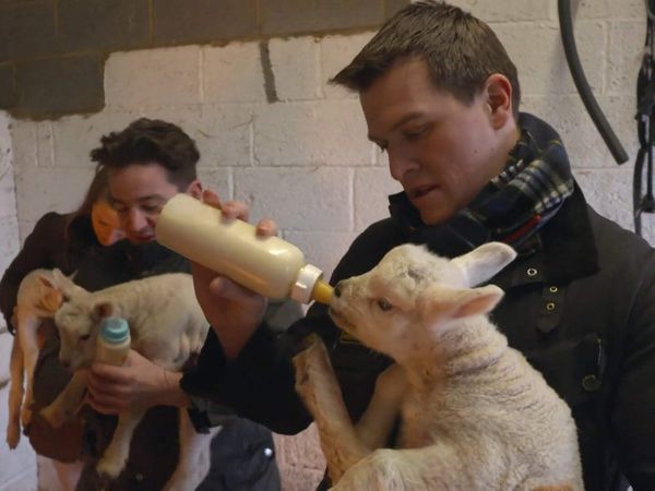 The Yorkshire Vet - Episode 11