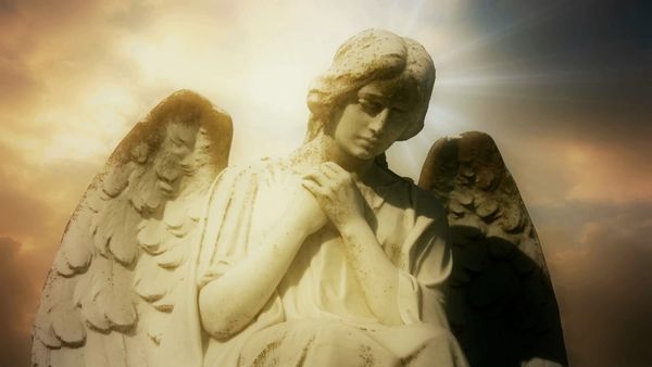 Top 10: Secretos y Misterios - Criaturas misteriosas