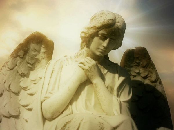 Top 10: Secretos y Misterios - Criaturas misteriosas