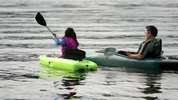 Lakefront Bargain Hunt - Searching for a secluded cove