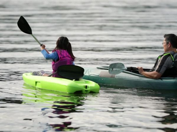 Lakefront Bargain Hunt - Searching for a secluded cove