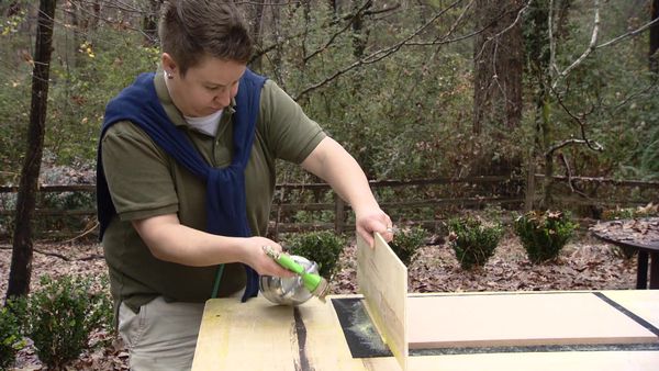 Mega Dens - Cleaning Up and Collifying Jill's Mega Disaster