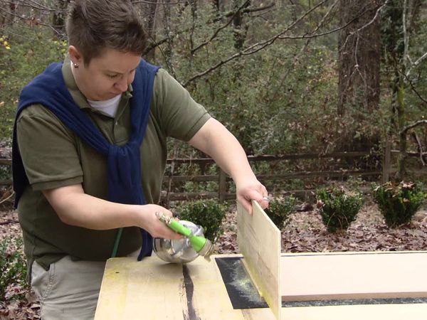 Mega Dens - Cleaning Up and Collifying Jill's Mega Disaster