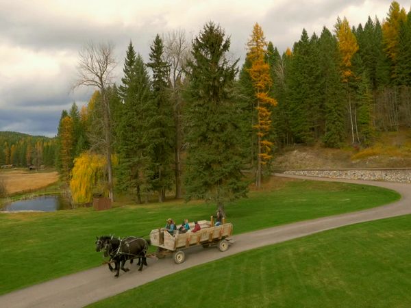 Living Big Sky - Whitefish Dream Home