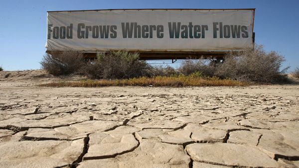 Fatal Forecast - Droughts