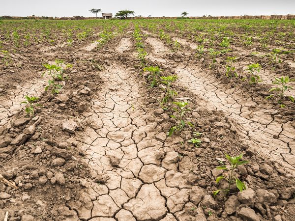 Fatal Forecast - Droughts