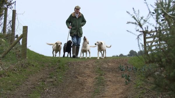 The Yorkshire Vet - Episode 9