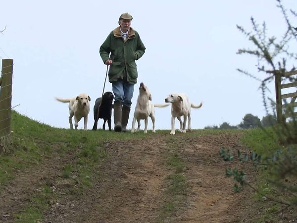 The Yorkshire Vet - Episode 9